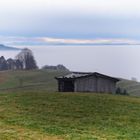 Alpenblick über das Nebelmeer