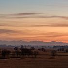 Alpenblick vom Ampermoos