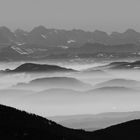 Alpenblick vom Belchen