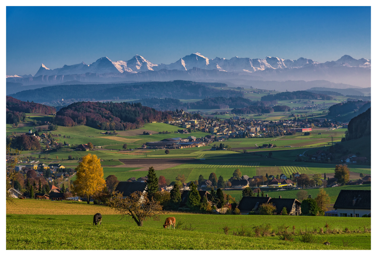 Alpenblick vom Ferenberg 