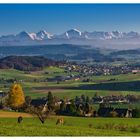 Alpenblick vom Ferenberg 