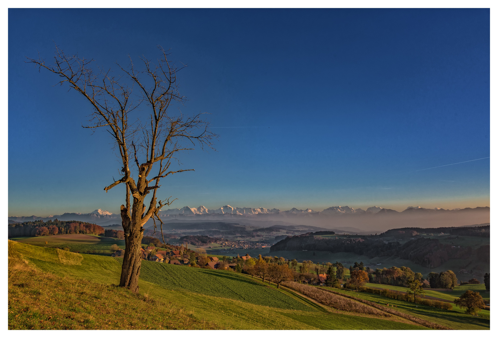 Alpenblick vom Ferenberg III