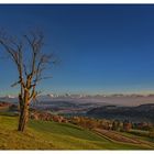 Alpenblick vom Ferenberg III