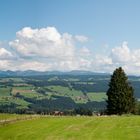 Alpenblick von der Alpen-Höhen-Strasse bei Lindenberg