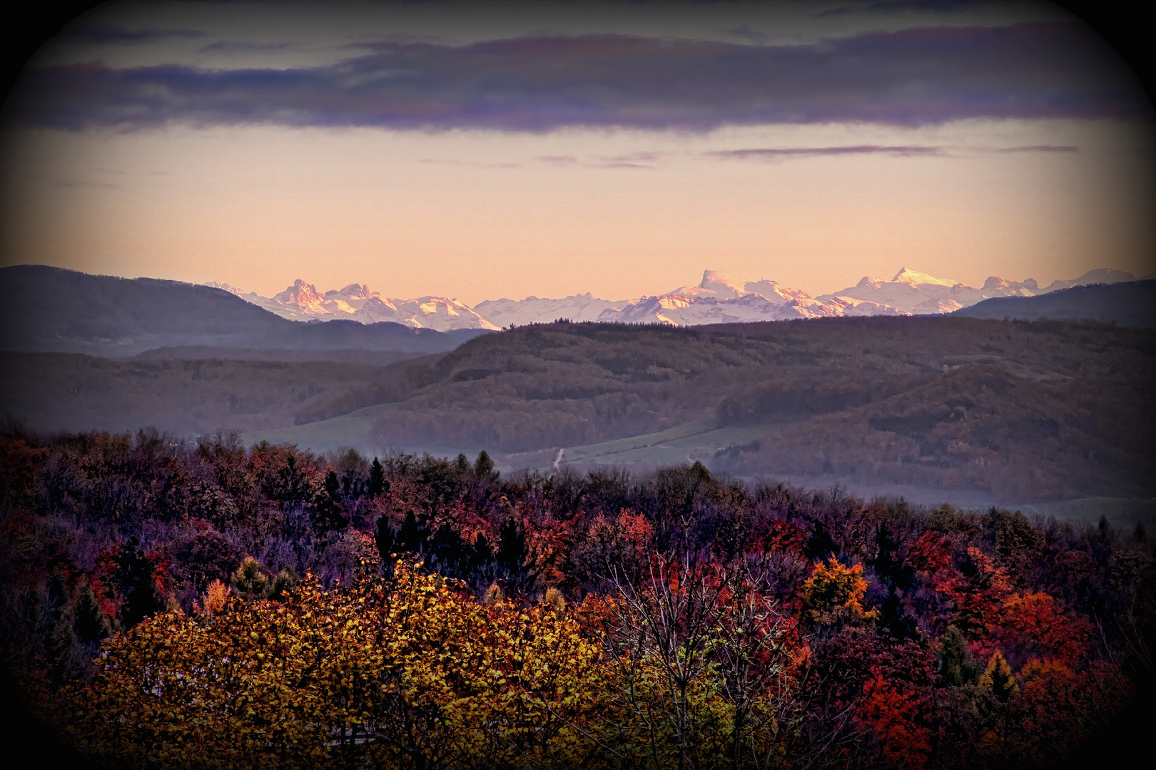 Alpenblick von der St. Chrischona Anhöhe