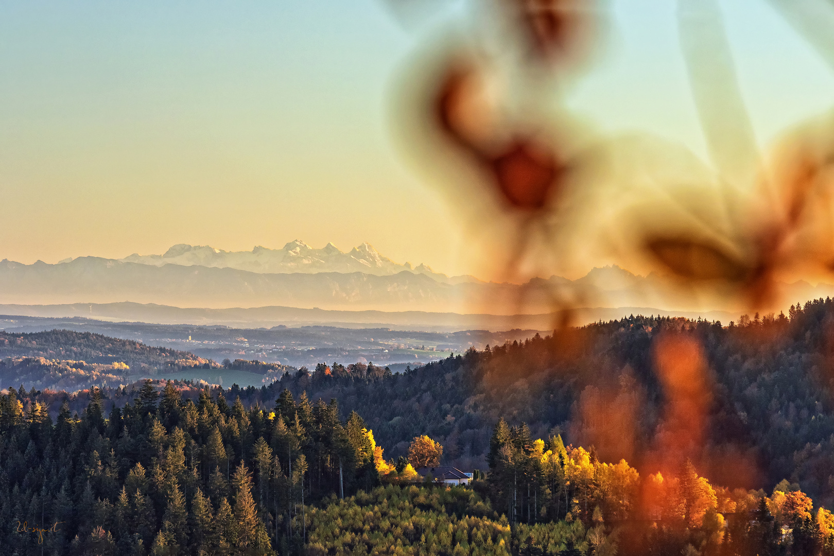 Alpenblick von Freyung