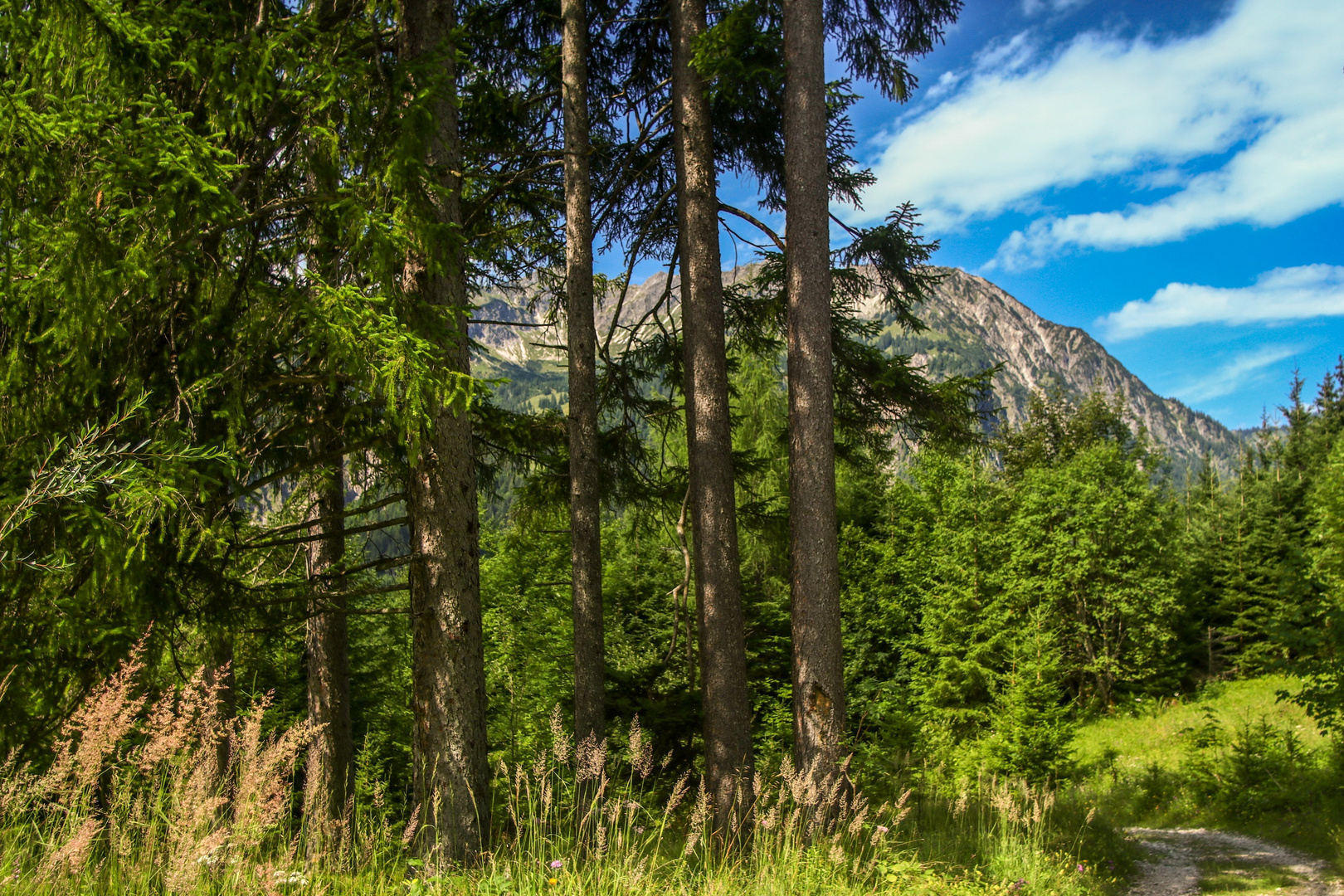 Alpenblick von Wanderwege der Wildfräuleinstein