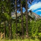 Alpenblick von Wanderwege der Wildfräuleinstein