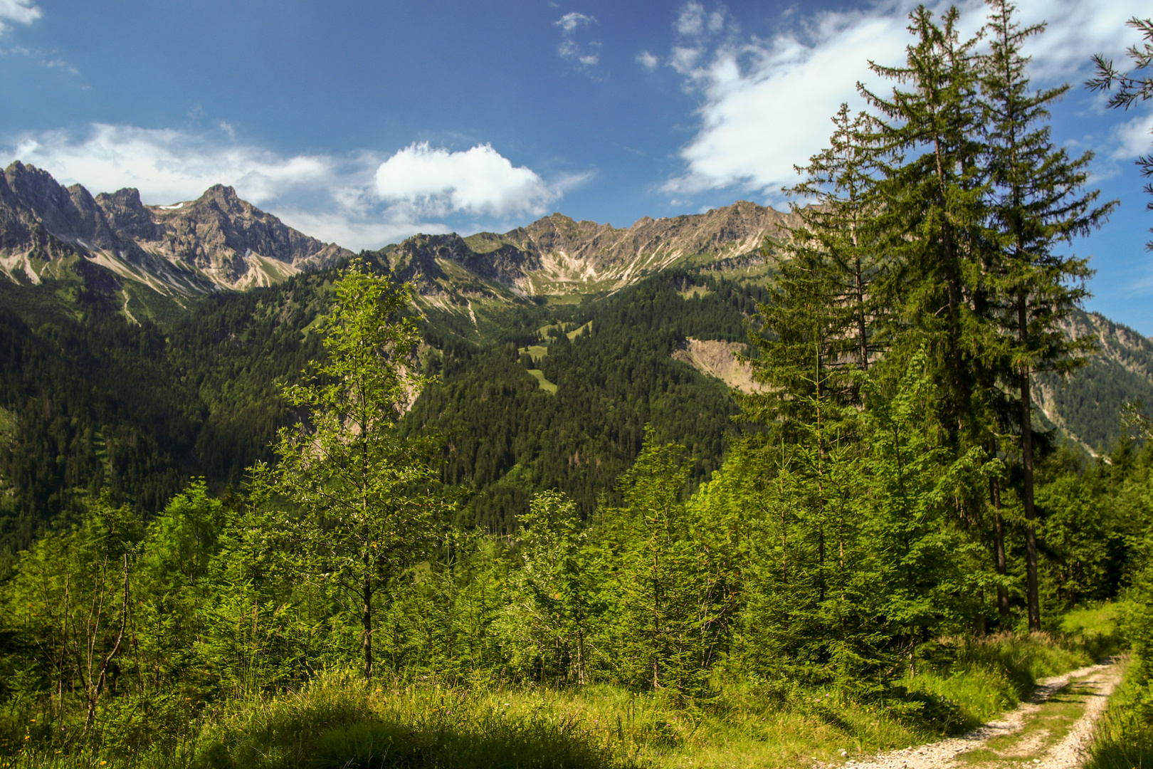 Alpenblick von Wanderwege der Wildfräuleinstein II