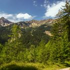 Alpenblick von Wanderwege der Wildfräuleinstein II