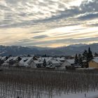 Alpenblick von Wasserburg am Bodensee