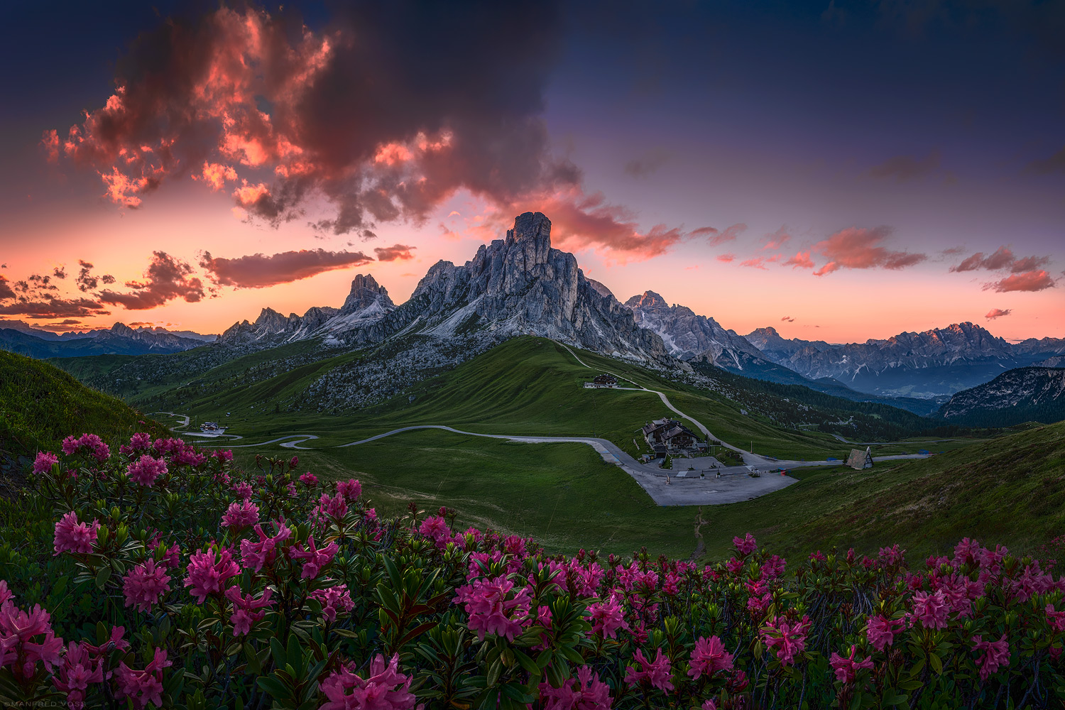 Alpenblumen