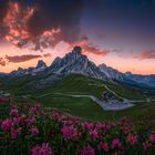 Alpenblumen