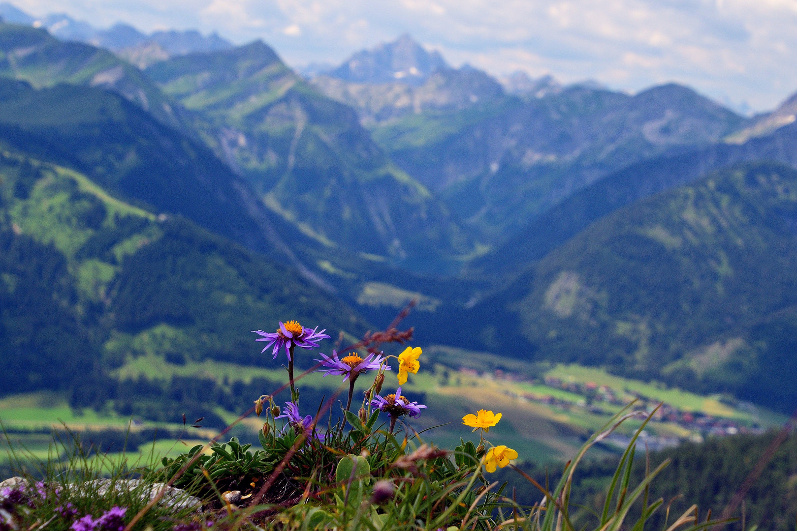 Alpenblumensträußchen