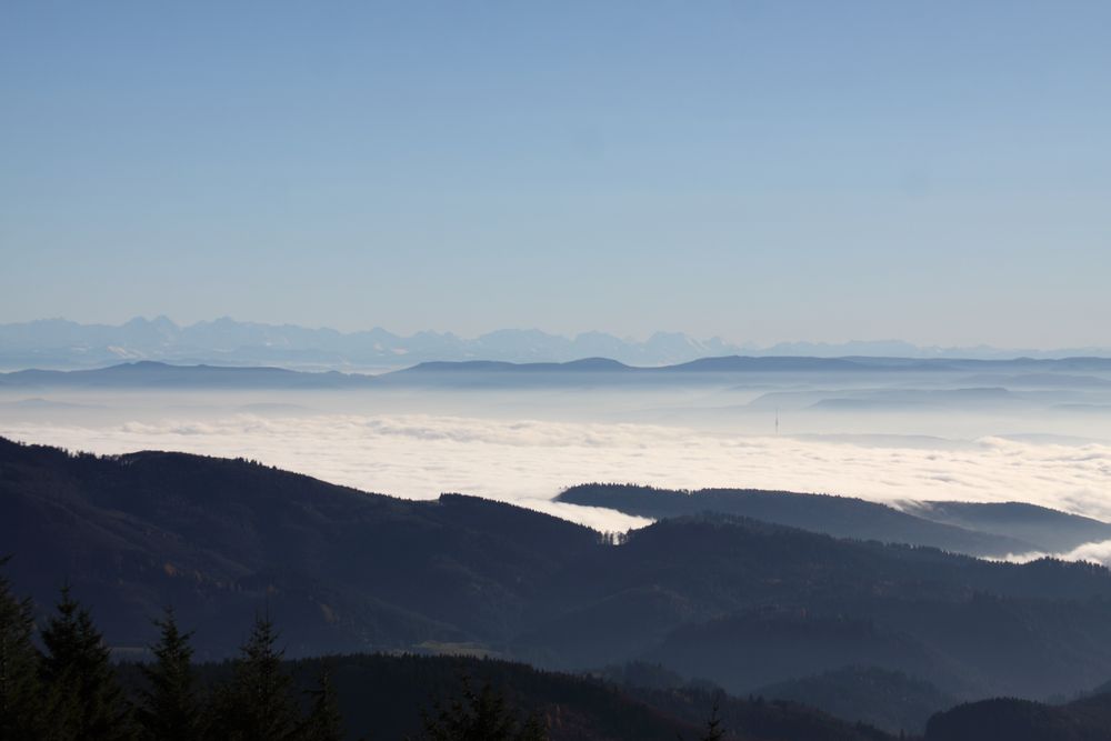 Alpenfernsicht vom Hochblauen