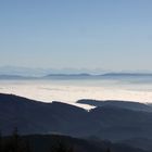 Alpenfernsicht vom Hochblauen