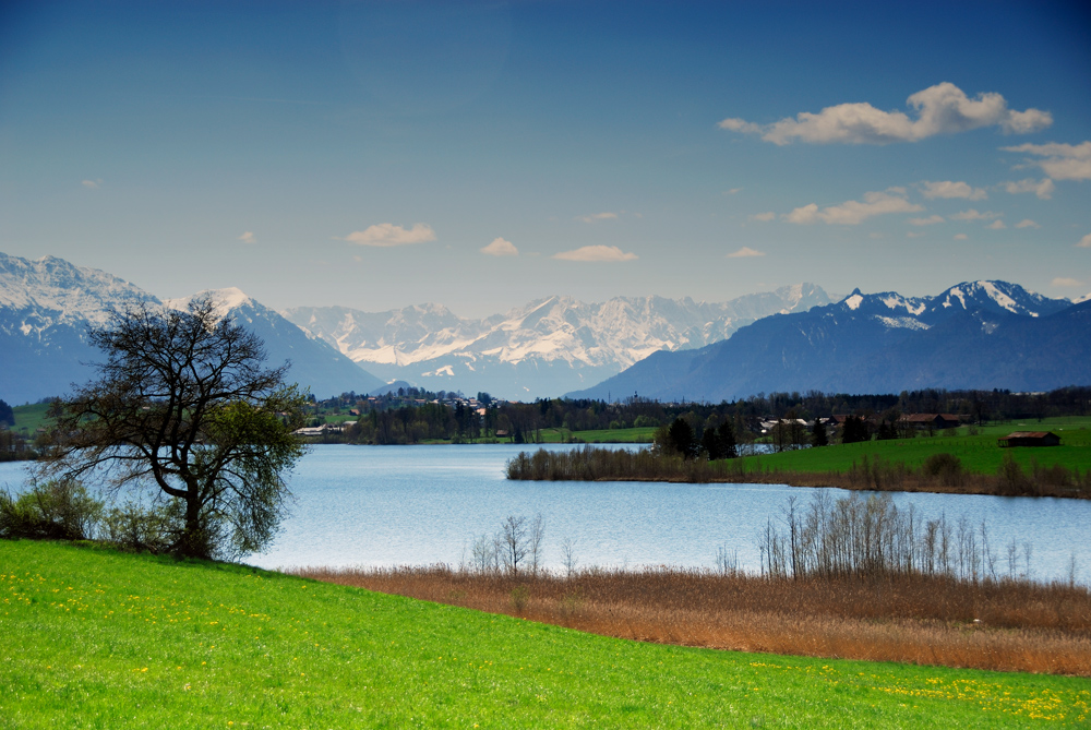 Alpenfrühling