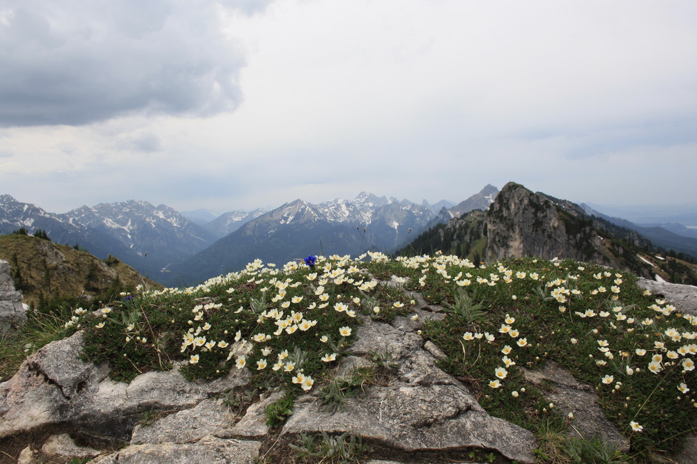 Alpengarten