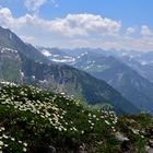 Alpengarten mit Ausblick