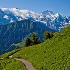 Alpengarten Schynige Platte