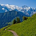 Alpengarten Schynige Platte