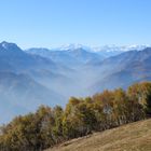 Alpengipfelpanorama ...