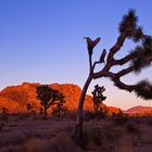 "Alpenglow" in the desert