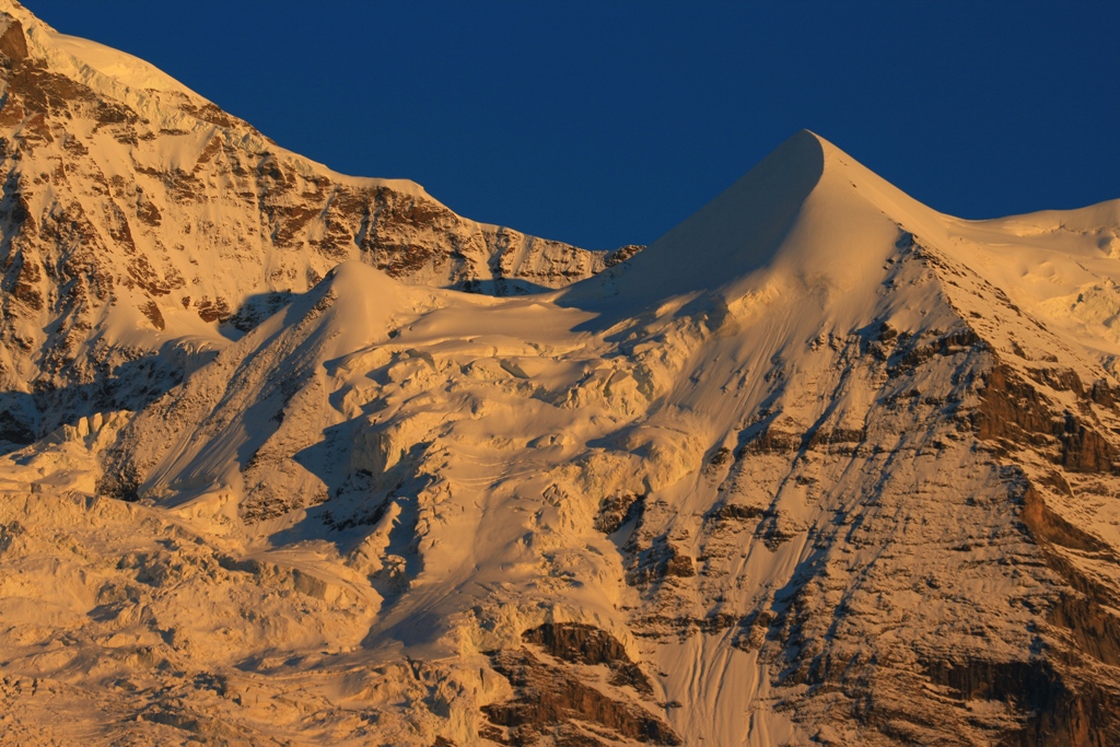 Alpenglühen am Silberhorn