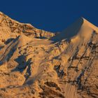 Alpenglühen am Silberhorn