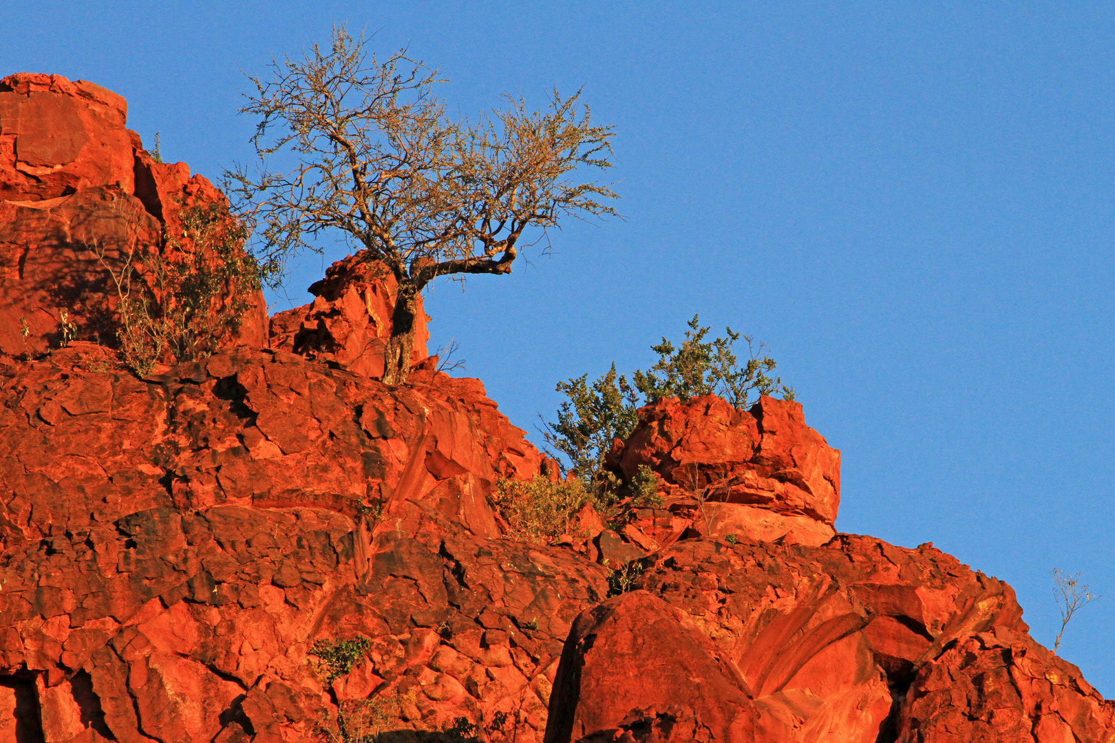 "Alpenglühen" am Waterberg, Namibia