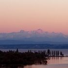 Alpenglühen der Schweizer Alpen