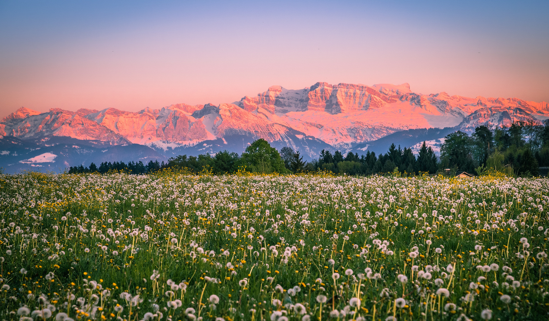 Alpenglühen im Frühling