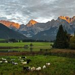 ALPENGLÜHEN im Karwendelgebirge