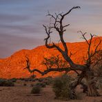 Alpenglühen in Namibia