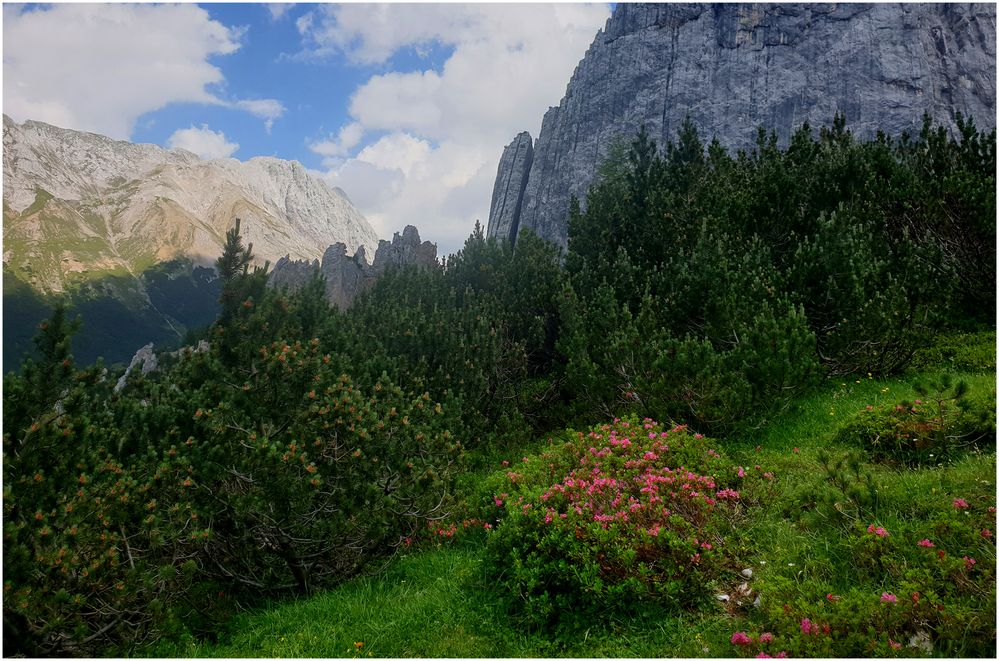 Alpenglühen, mal anders (II)