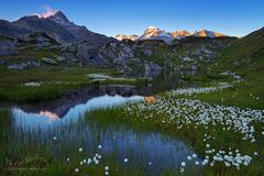 Alpenglühen und Wollgras