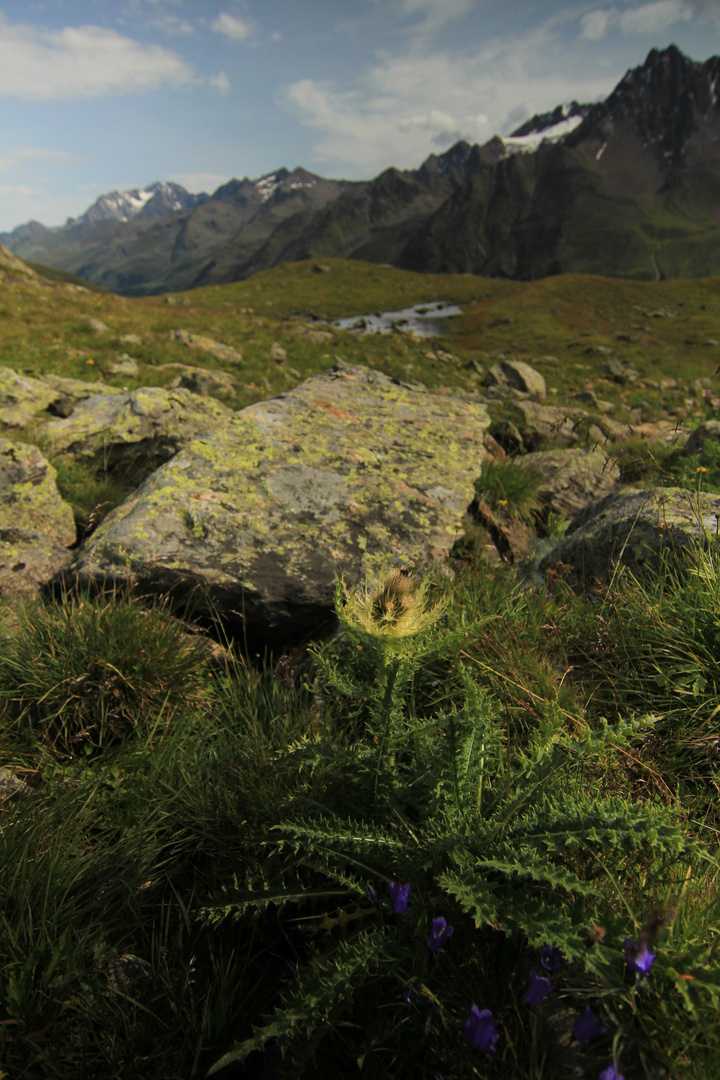 Alpengrün