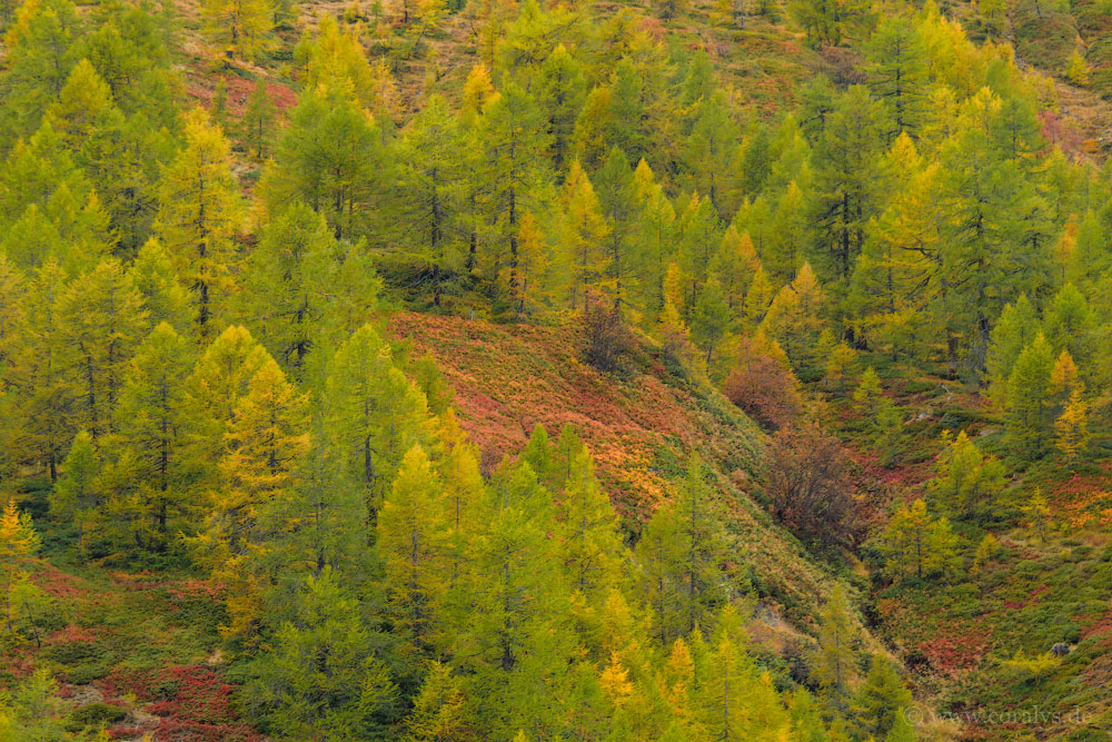 Alpenherbst (01)