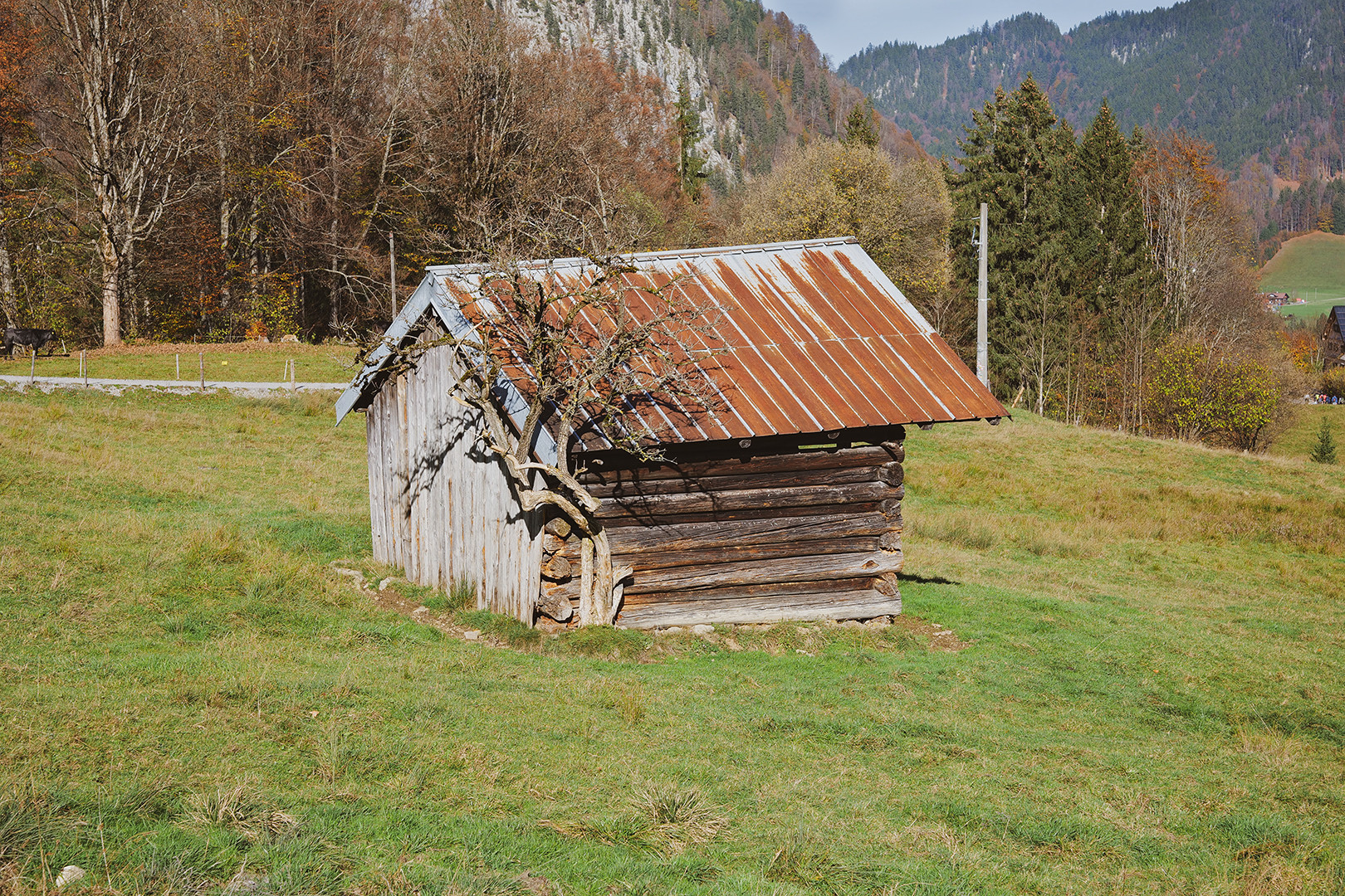 Alpenhütte