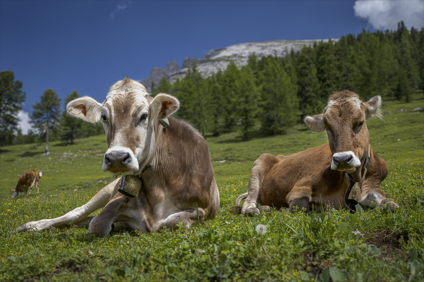 Alpenidyll