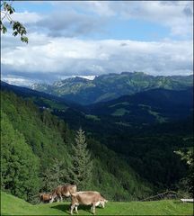 "Alpenidylle"