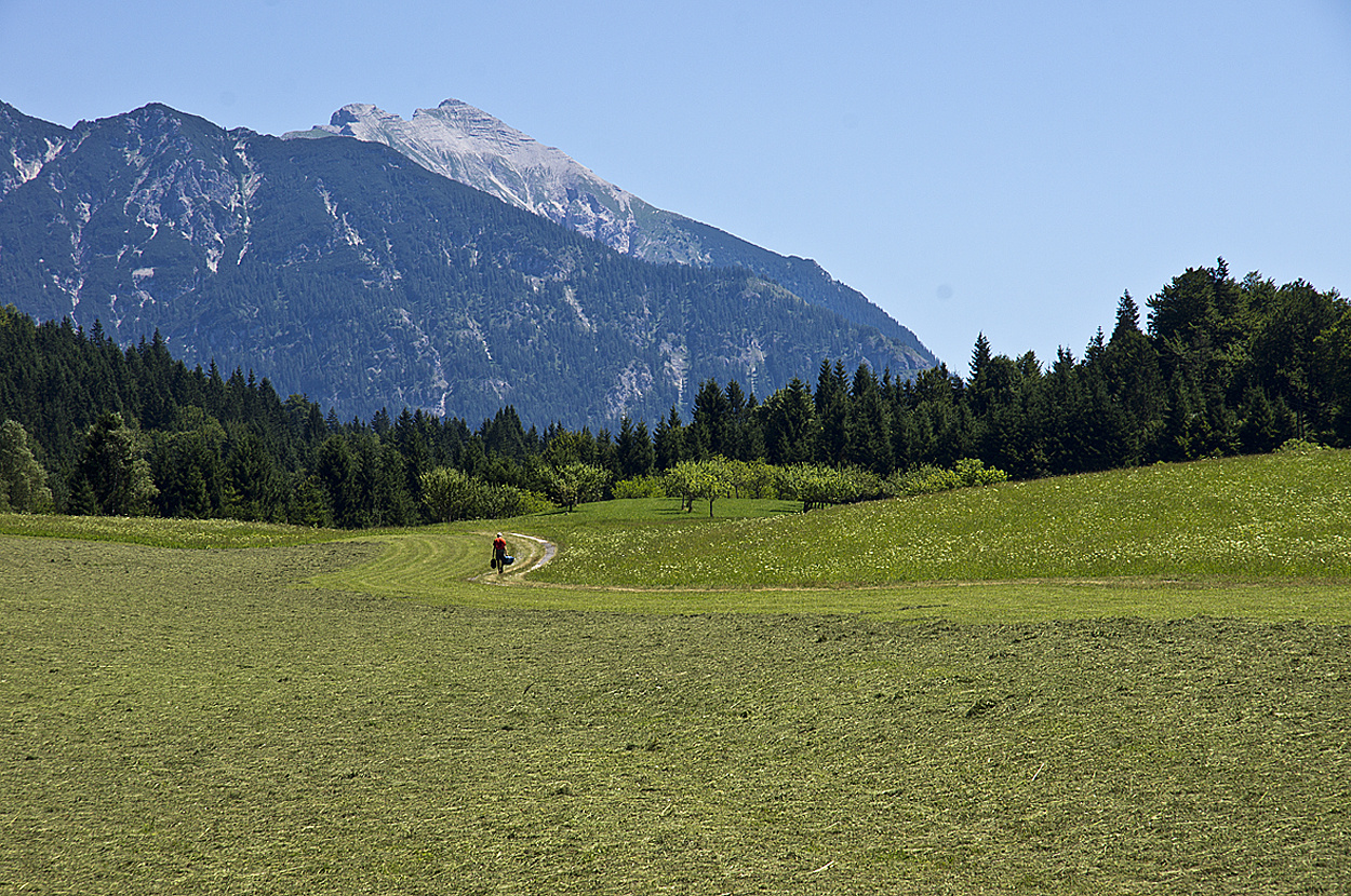 Alpenidylle