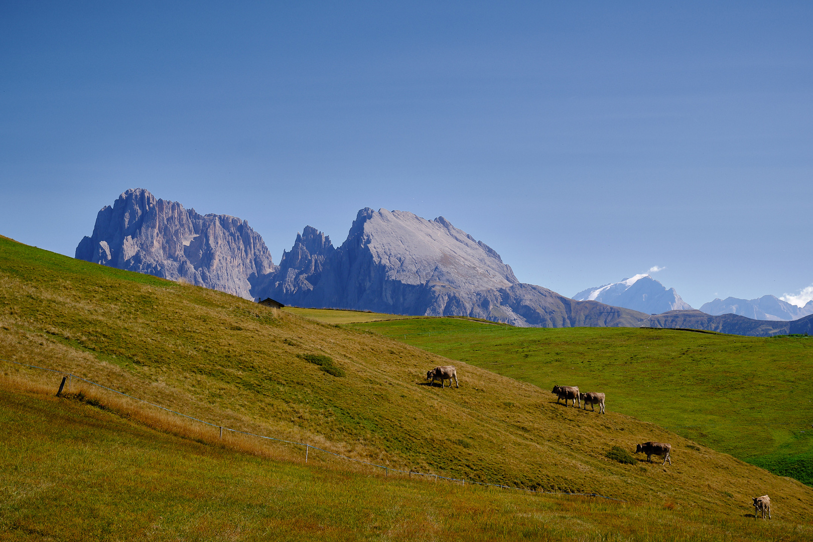 Alpenidylle