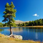 Alpenidylle am Schwarzsee