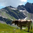 Alpenidylle auf Melchsee-Frutt