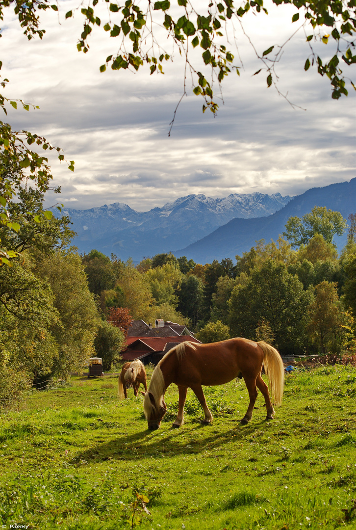 Alpenidylle im Blauen Land