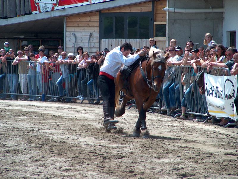 Alpenkönig Championat 2007 Axams-Tirol Show1