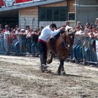 Alpenkönig Championat 2007 Axams-Tirol Show1