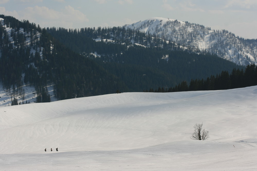 Alpenländisch....