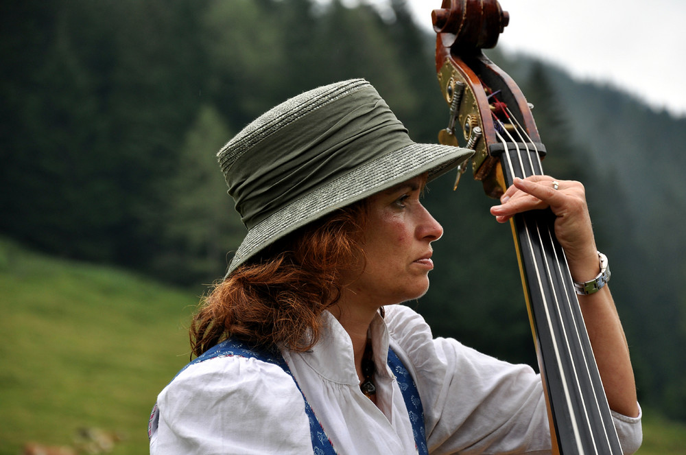 Alpenländische Volksmusik ( Musikalischer Almsommer am Hengstpaß)